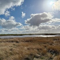 Donna Nook