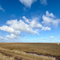 Donna Nook