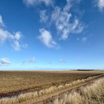 Donna Nook