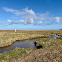 Donna Nook