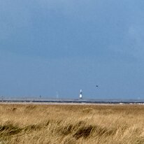 Donna Nook