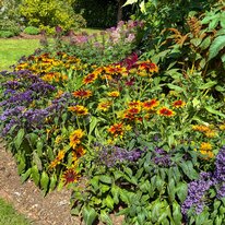 Scampston Hall & Walled Gardens