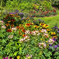 Scampston Hall & Walled Gardens