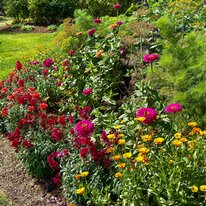 Scampston Hall & Walled Gardens