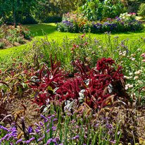 Scampston Hall & Walled Gardens