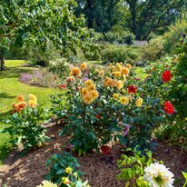 Scampston Hall & Walled Gardens