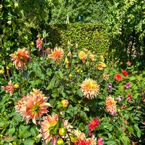 Scampston Hall & Walled Gardens
