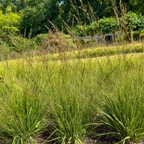 Scampston Hall & Walled Gardens