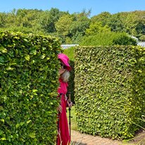 Scampston Hall & Walled Gardens